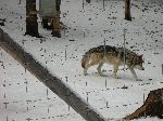 003_2009-0214-1236-39-JoeA.jpg